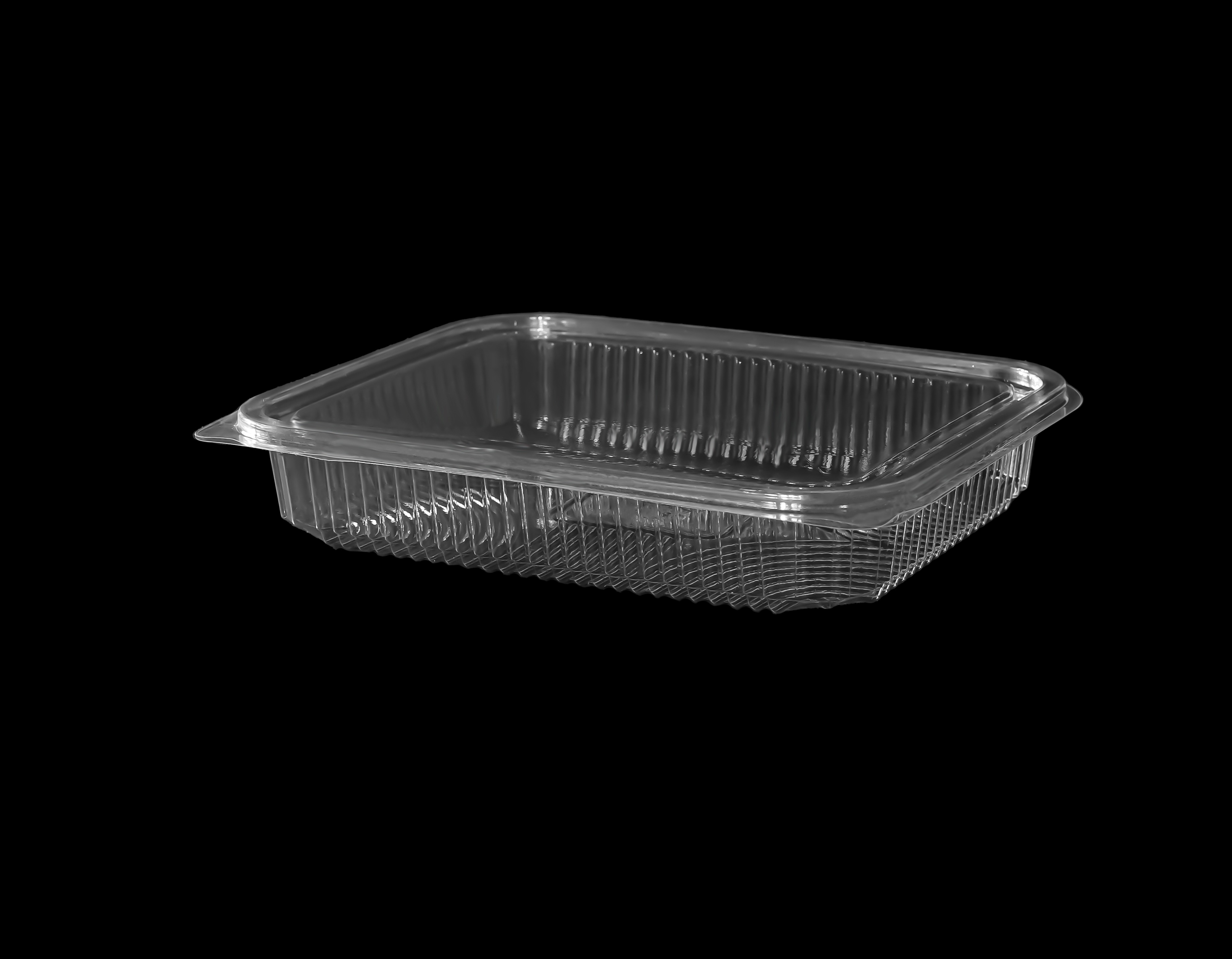 503 Hinged Lid Container