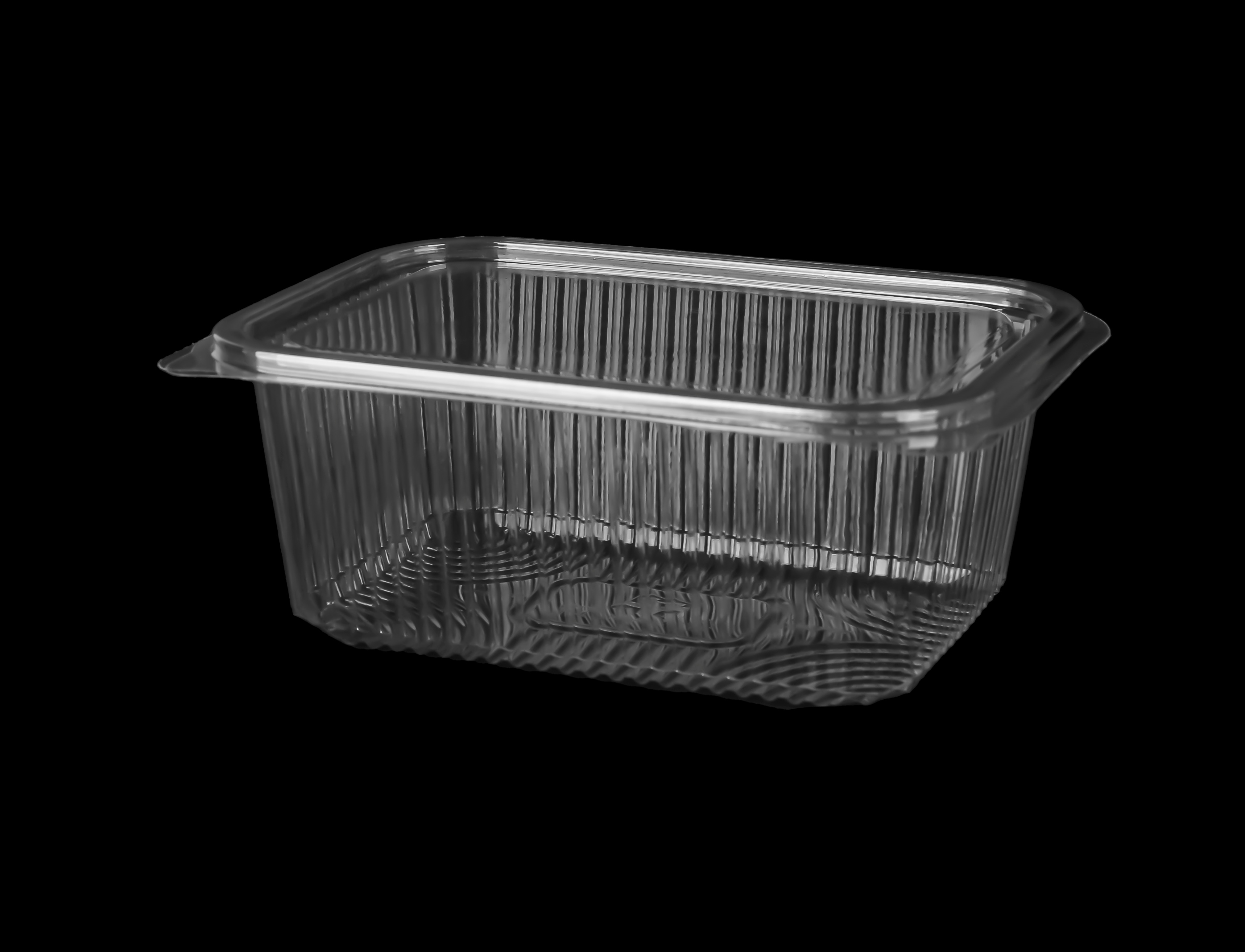 530 Medium Hinged Lid Container 