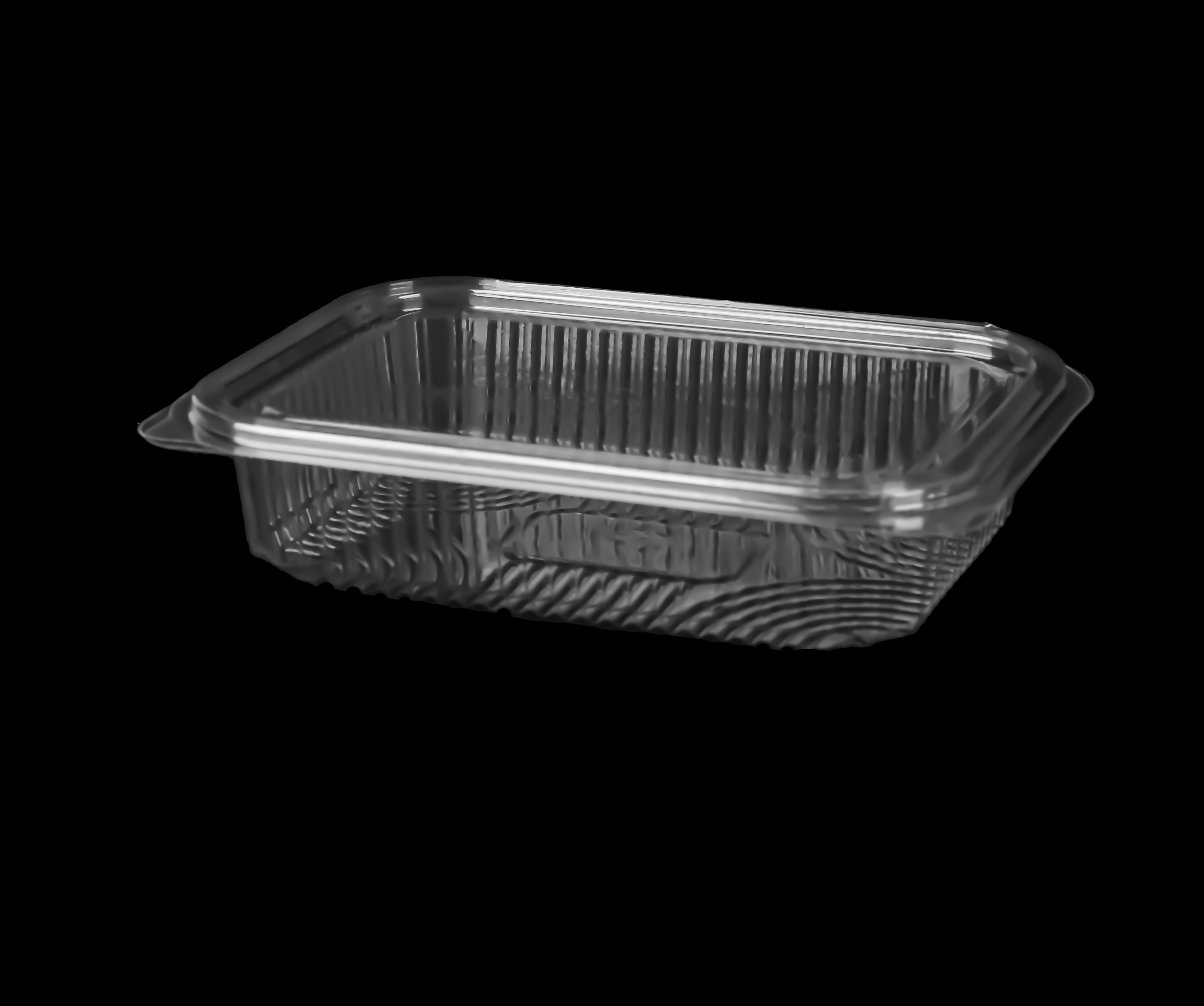532 Medium Hinged Lid Container 