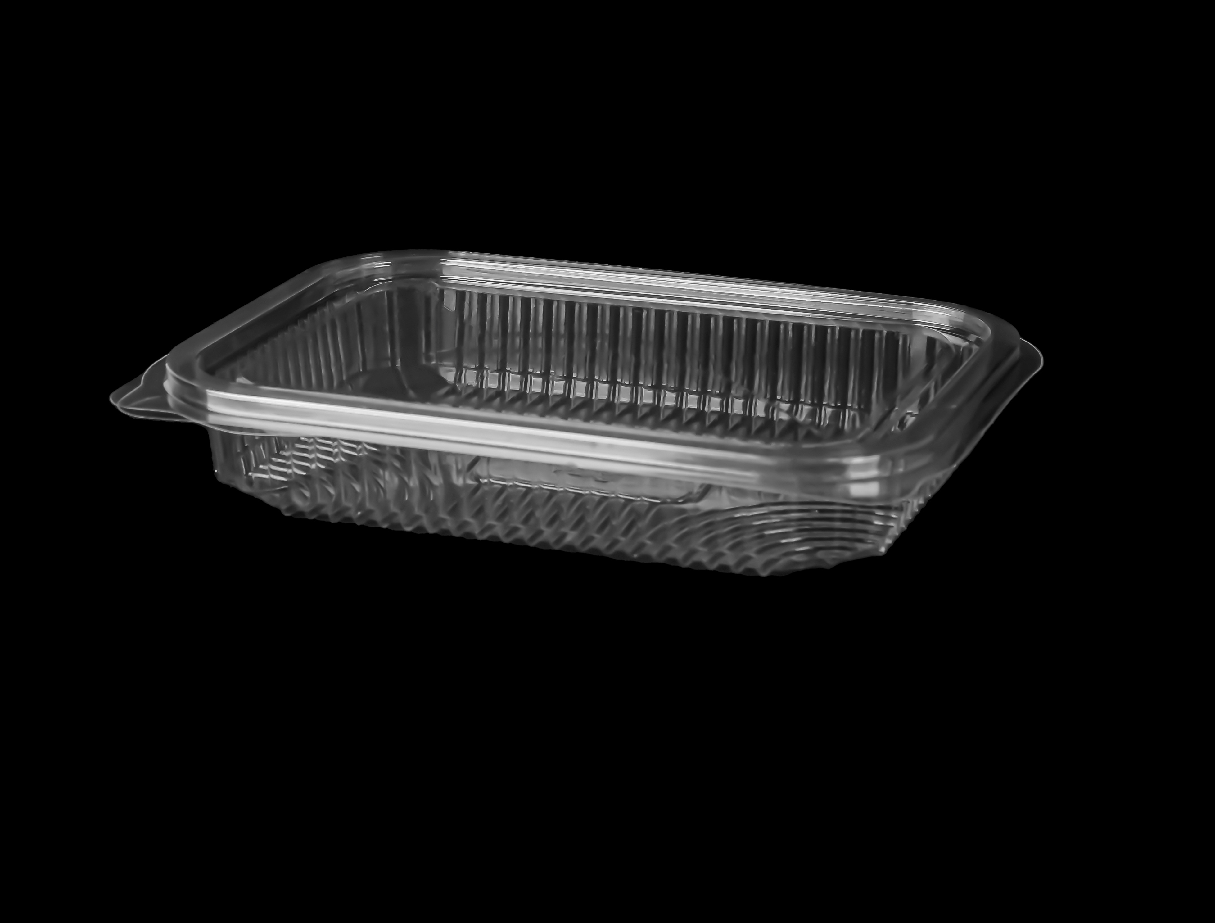 533 Medium Hinged Lid Container 