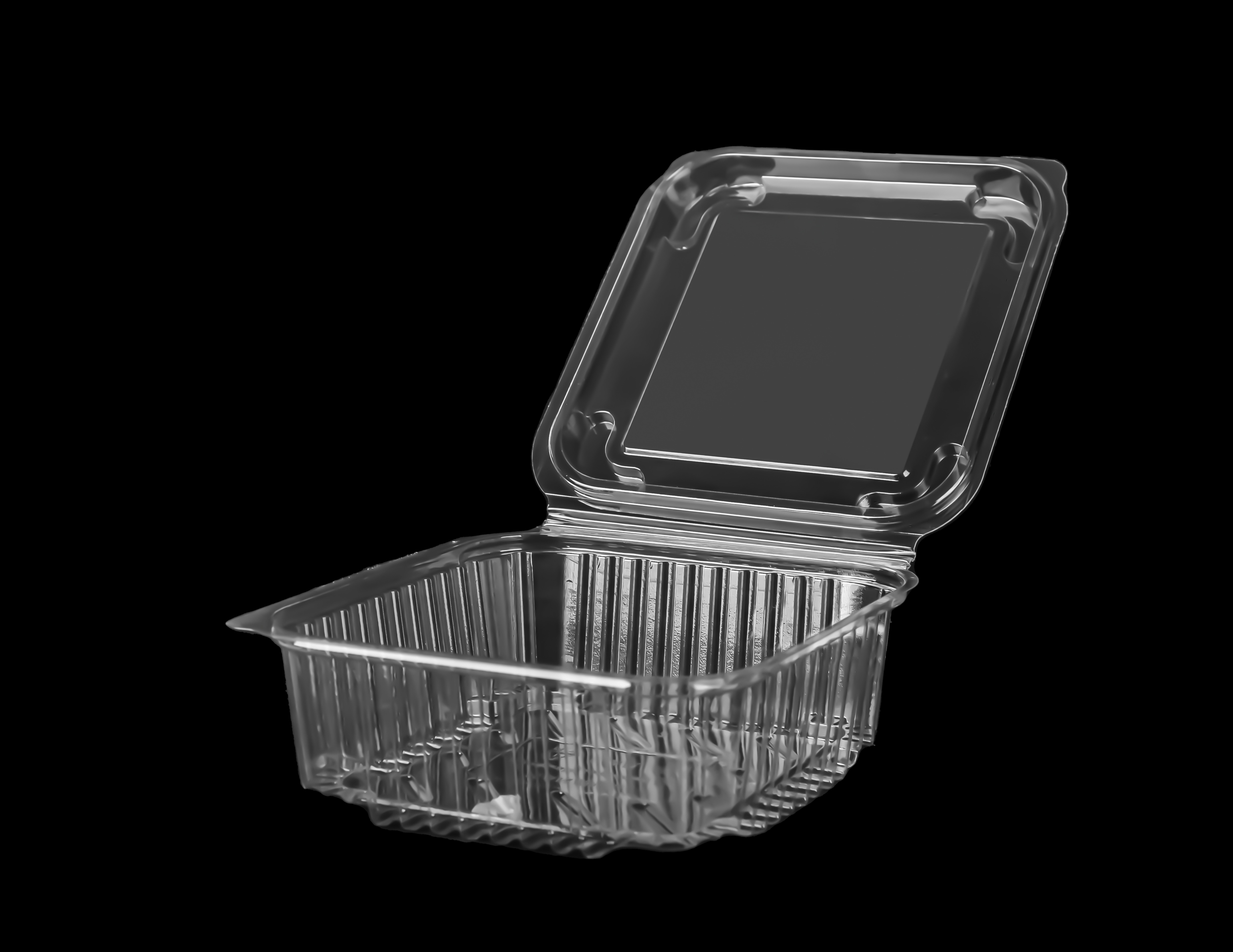 620 Hinged Lid Square Container 