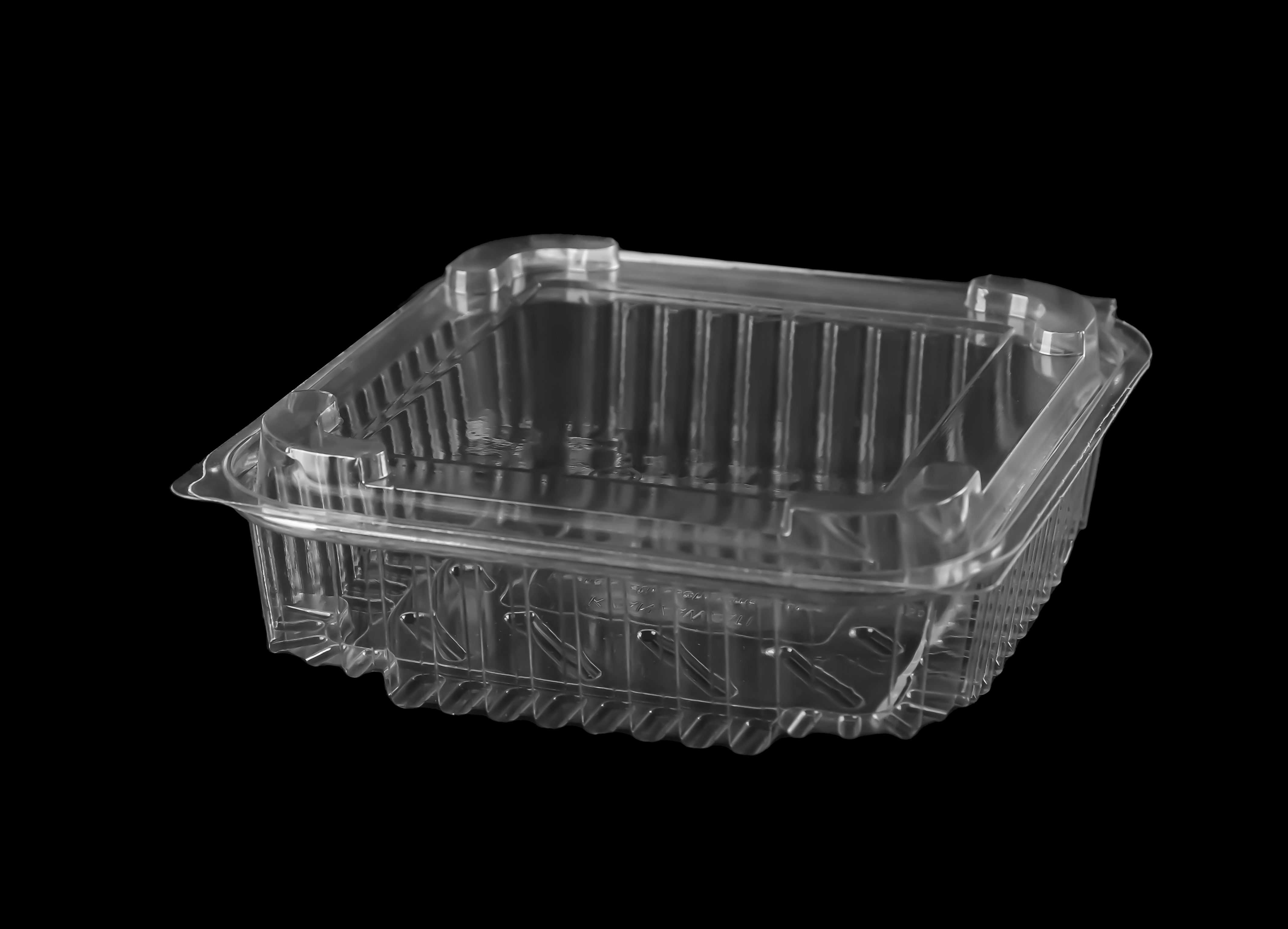 621 Hinged Lid Square Container 