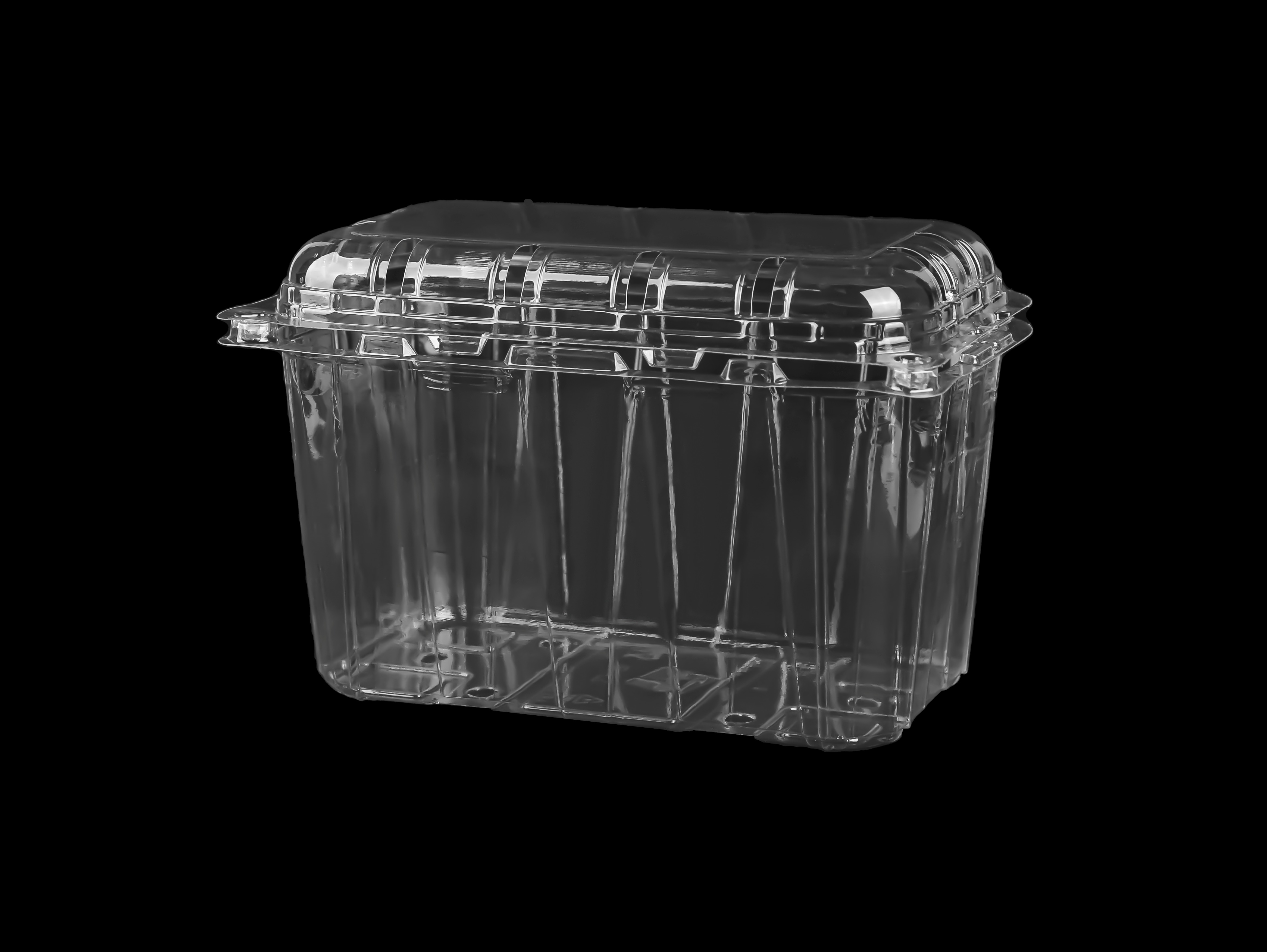 801 Fruit Hinged Lid Punched Container 