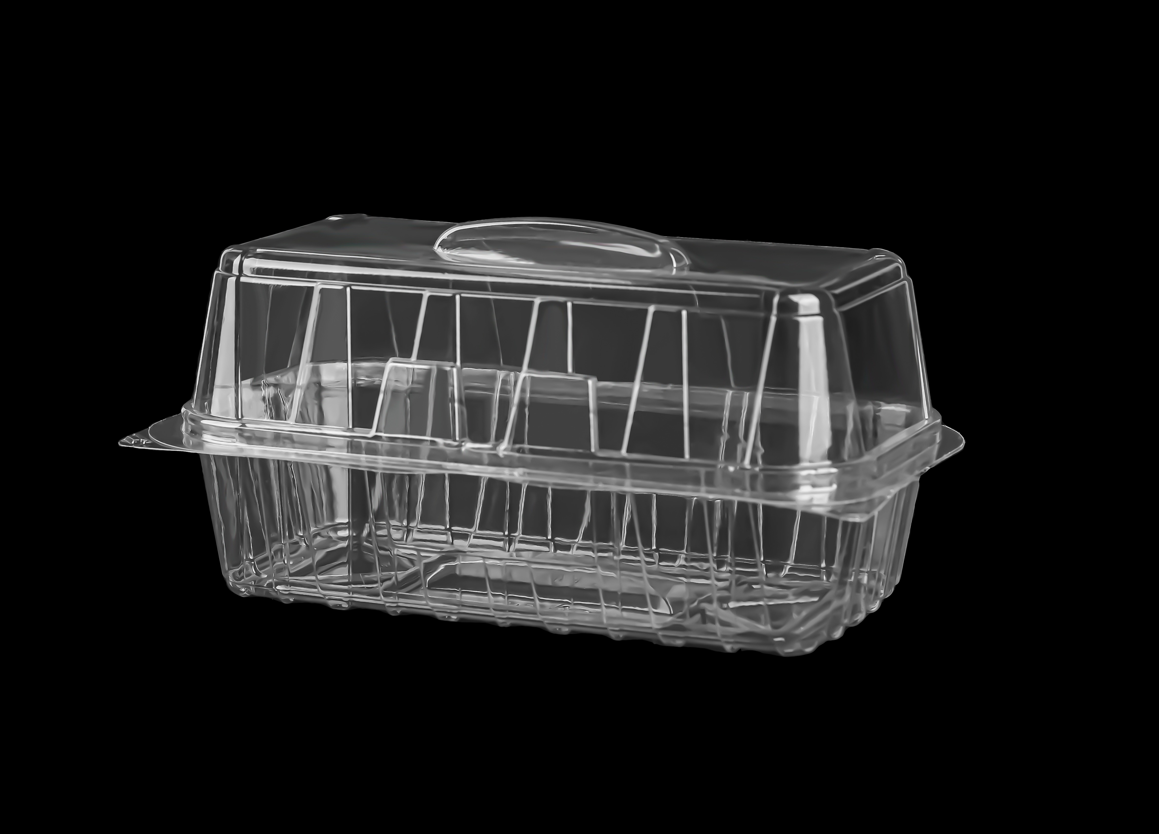 566 Hinged Lid Cake Container 