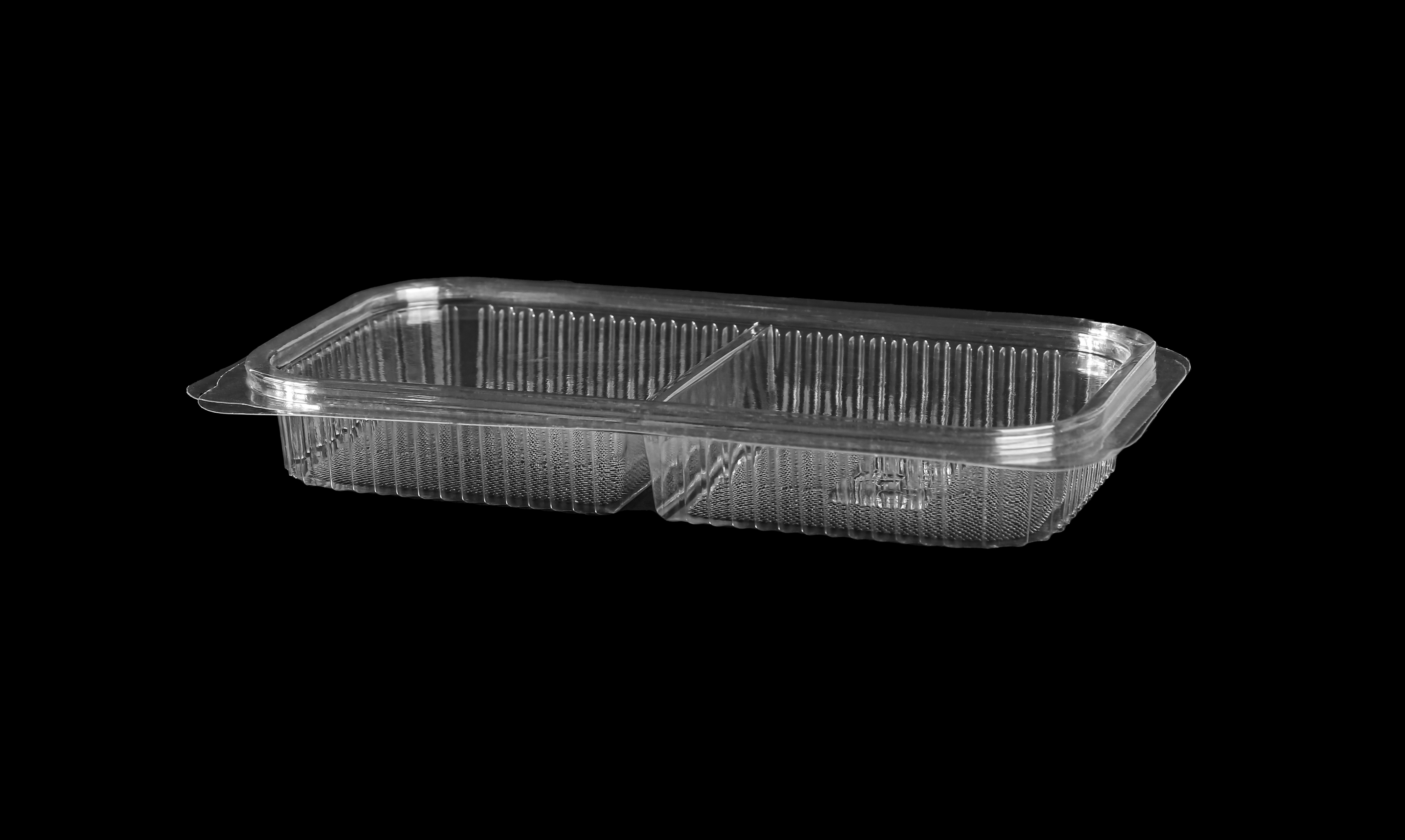 982 Hinged Lid Rectangular Compartment Container 