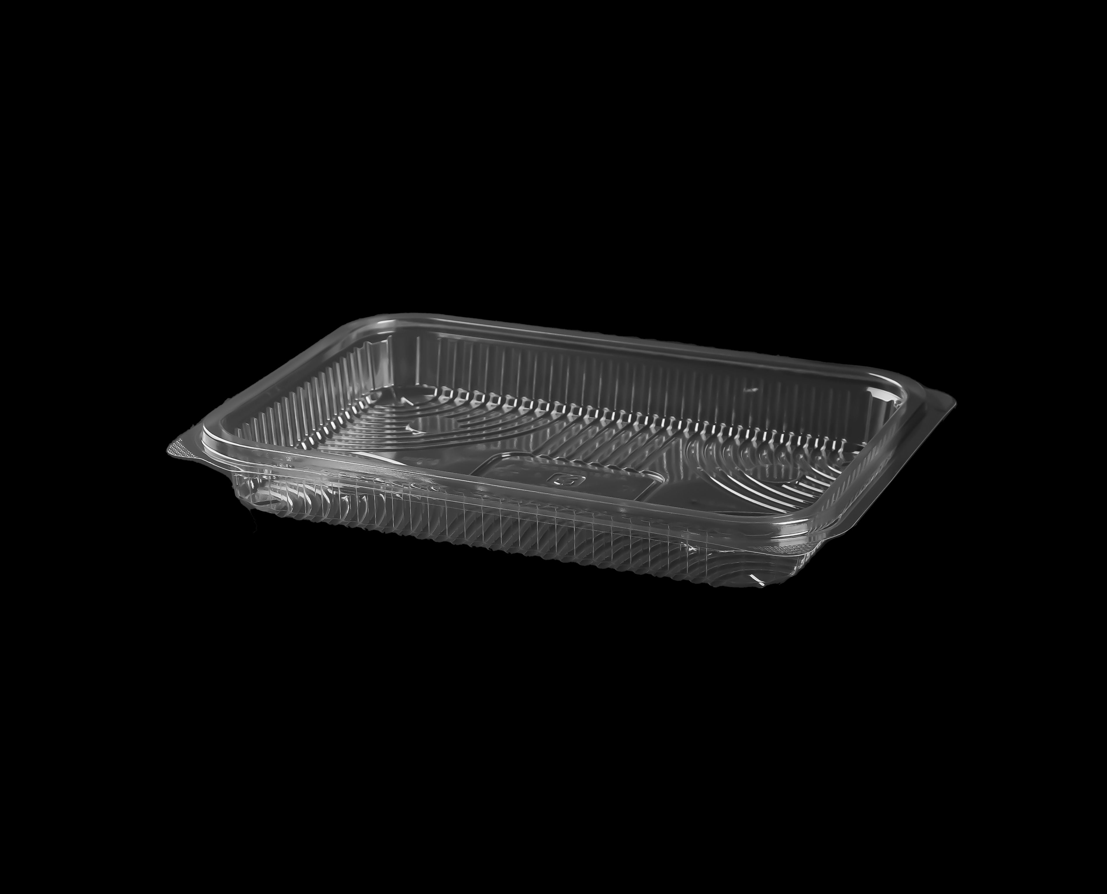 504 Large Rectangular Container Only