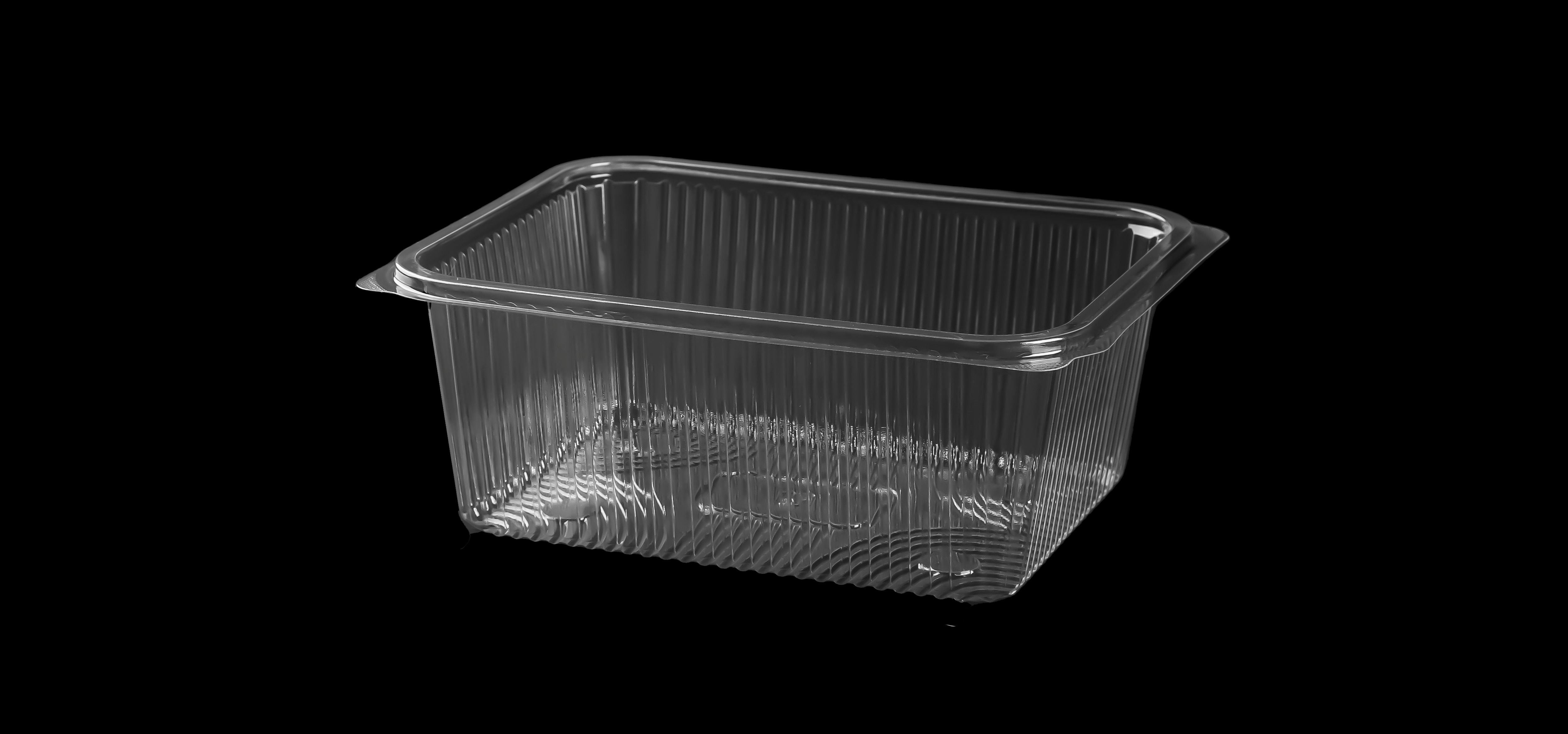 500 Large Rectangular Container Only