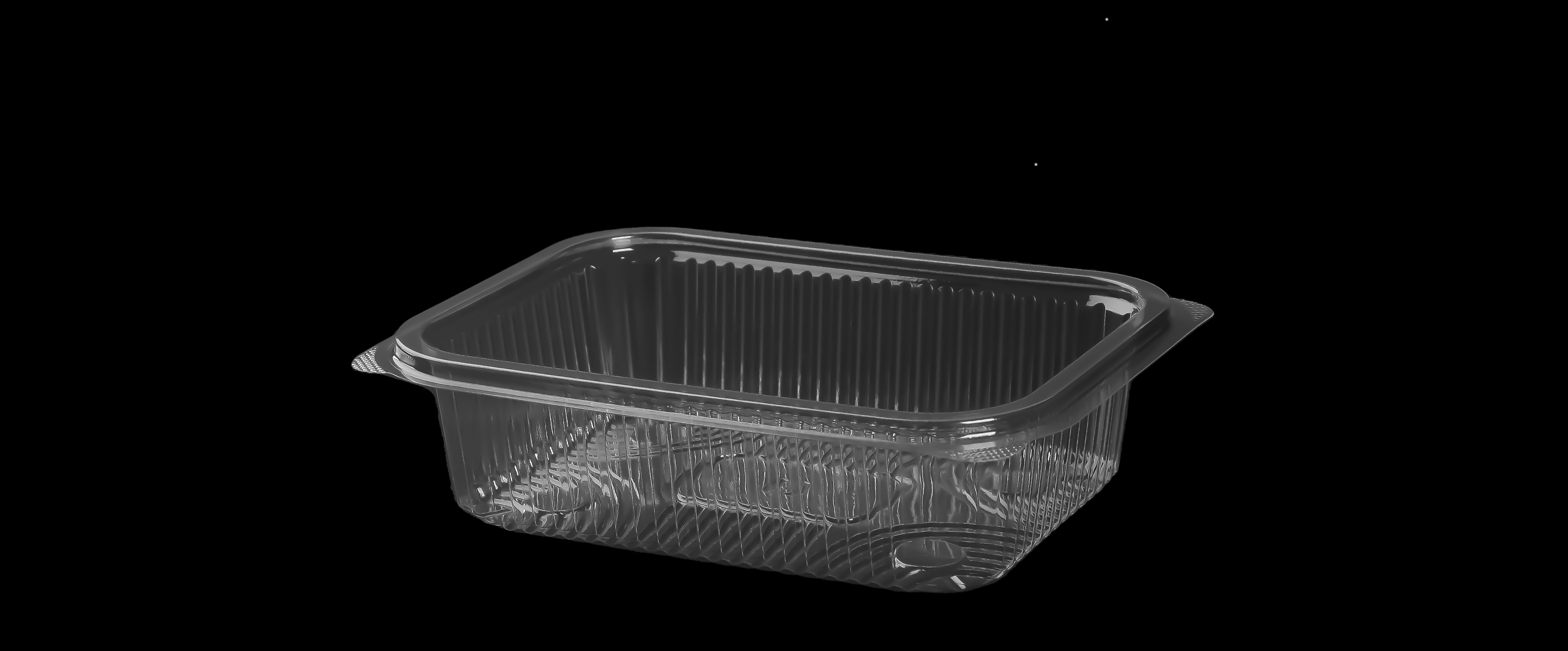 531 Medium Rectangular Container Only 