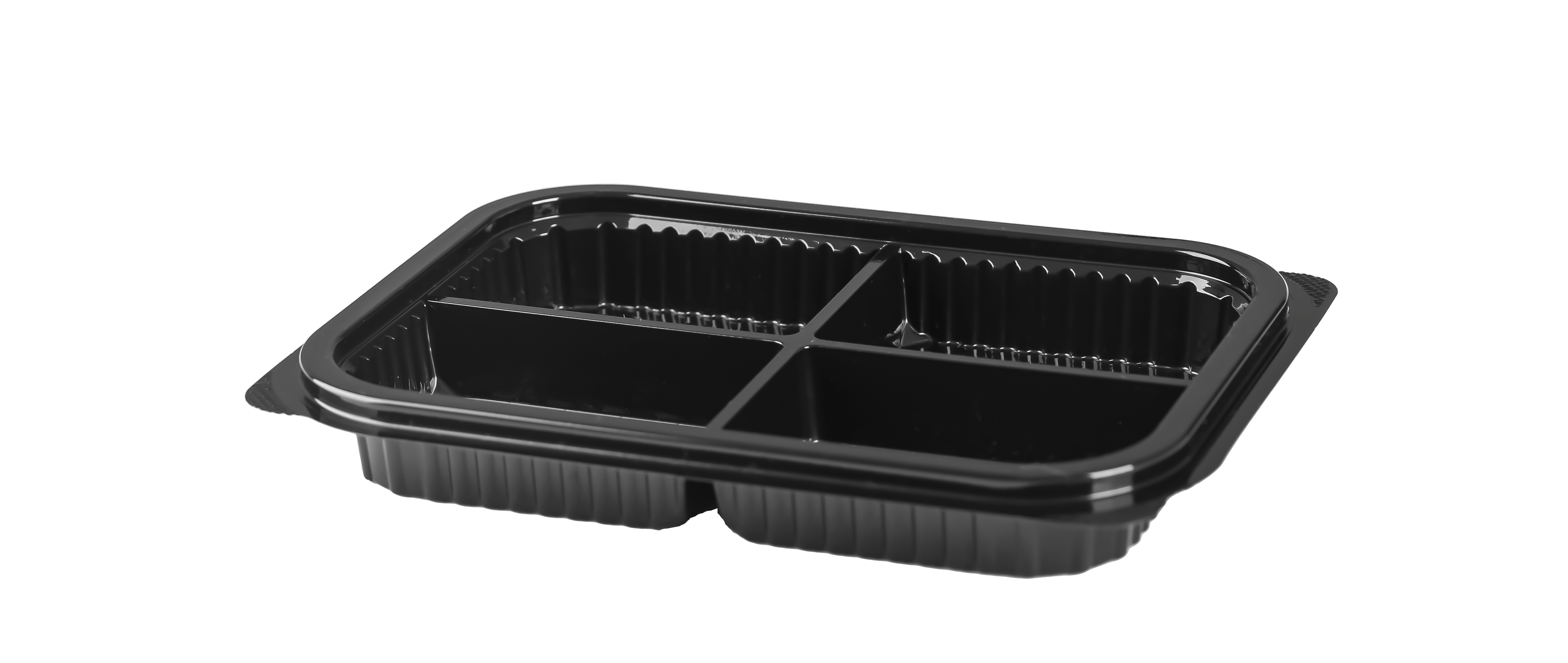 934 Compartment Rectangular Container only 