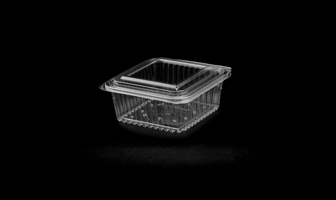 520 Hinged Lid Medium Container 
