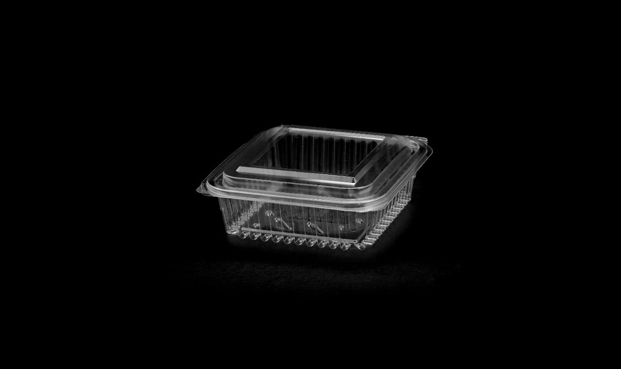 521 Hinged Lid Medium Container 