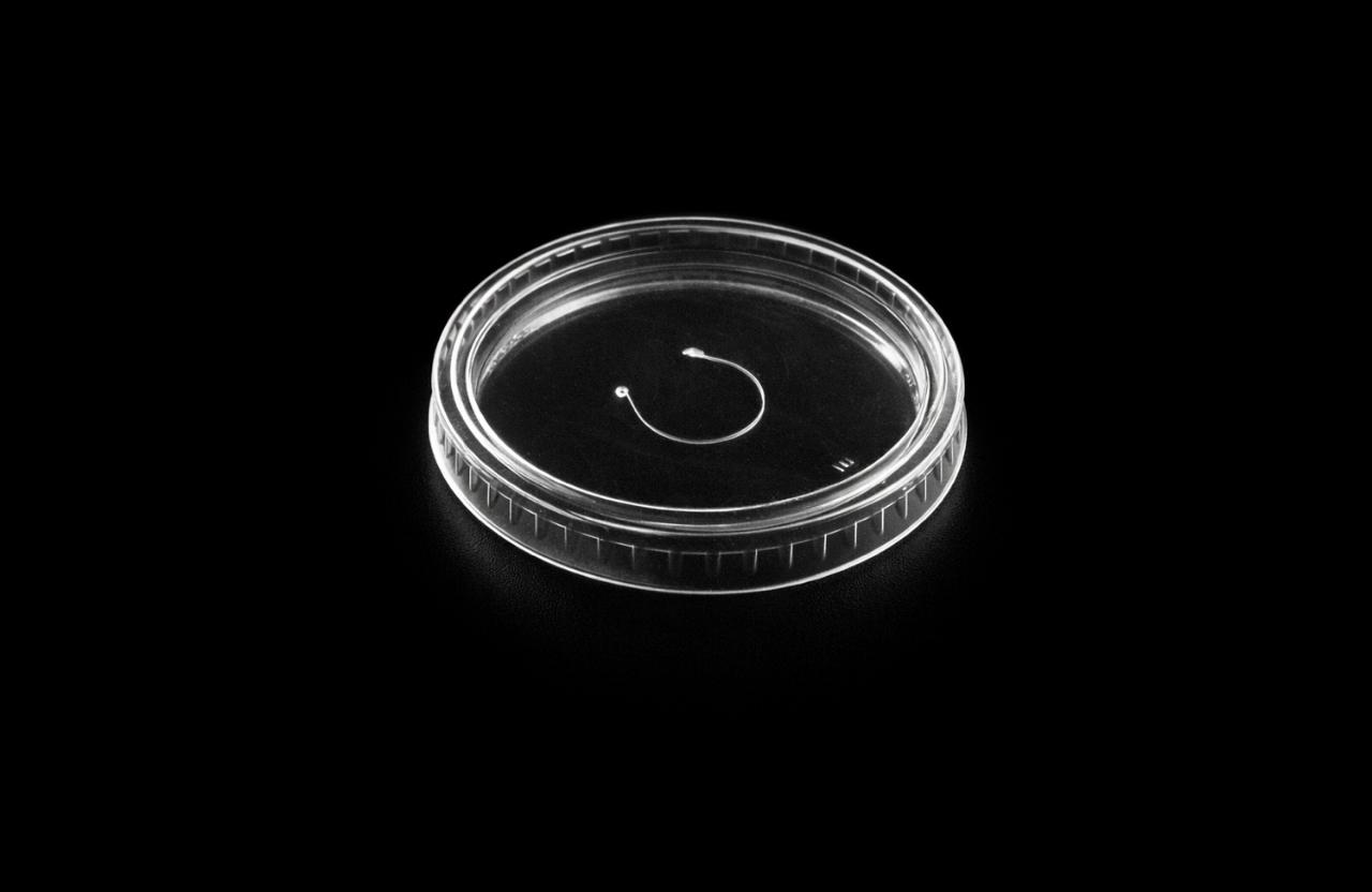 Flat Lid for 12 oz Paper Cup 
